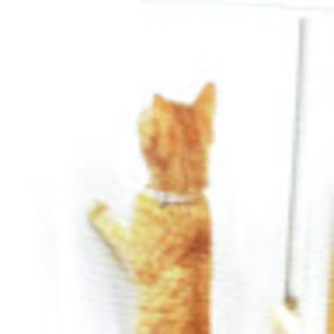 Meet your Posher, Andy